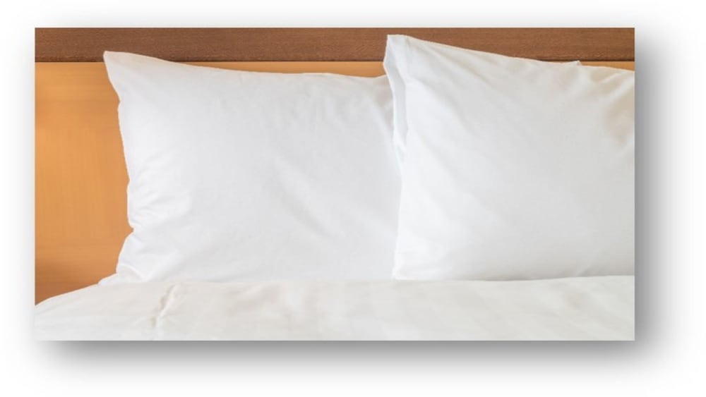 Holiday Inn Charleston Riverview by IHG - photo 11