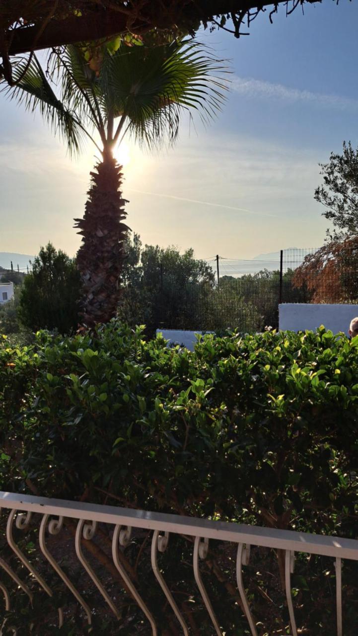 Βlueview - carbon neutral hotel in Unknown City