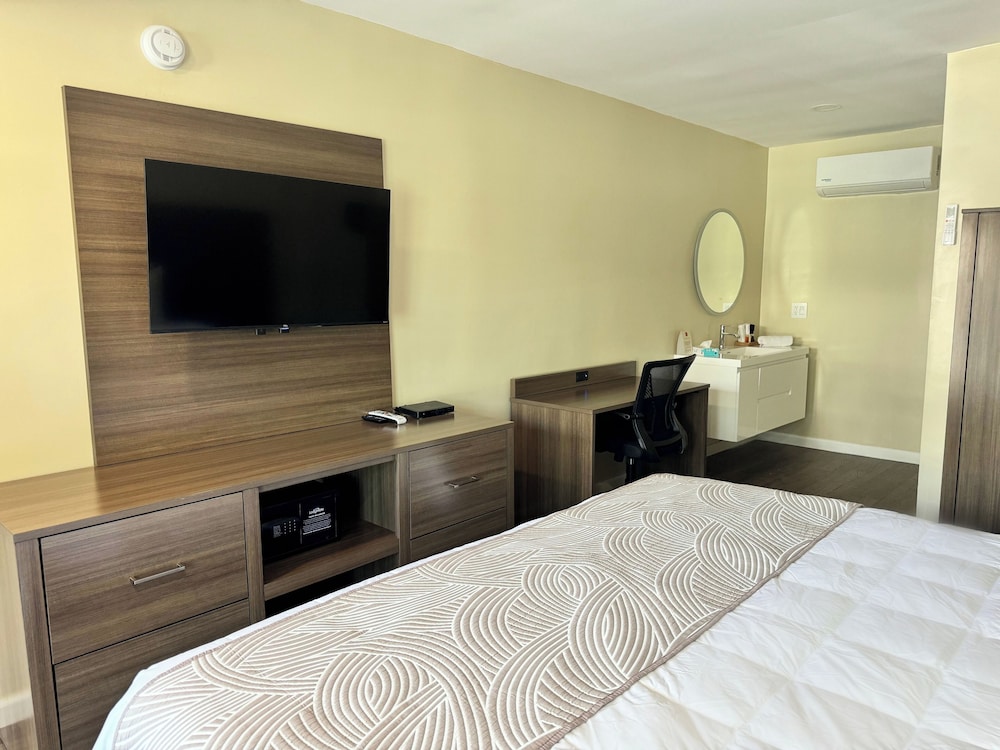 The Dixie Hollywood - photo 5