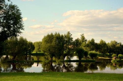 Zielone Zacisze — Miloslaw — photo 5