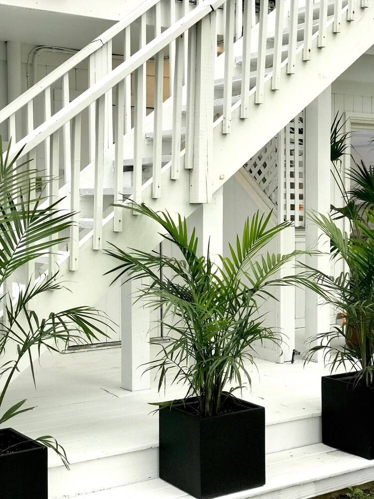 Aqua by American Beech Adults Only - photo 11
