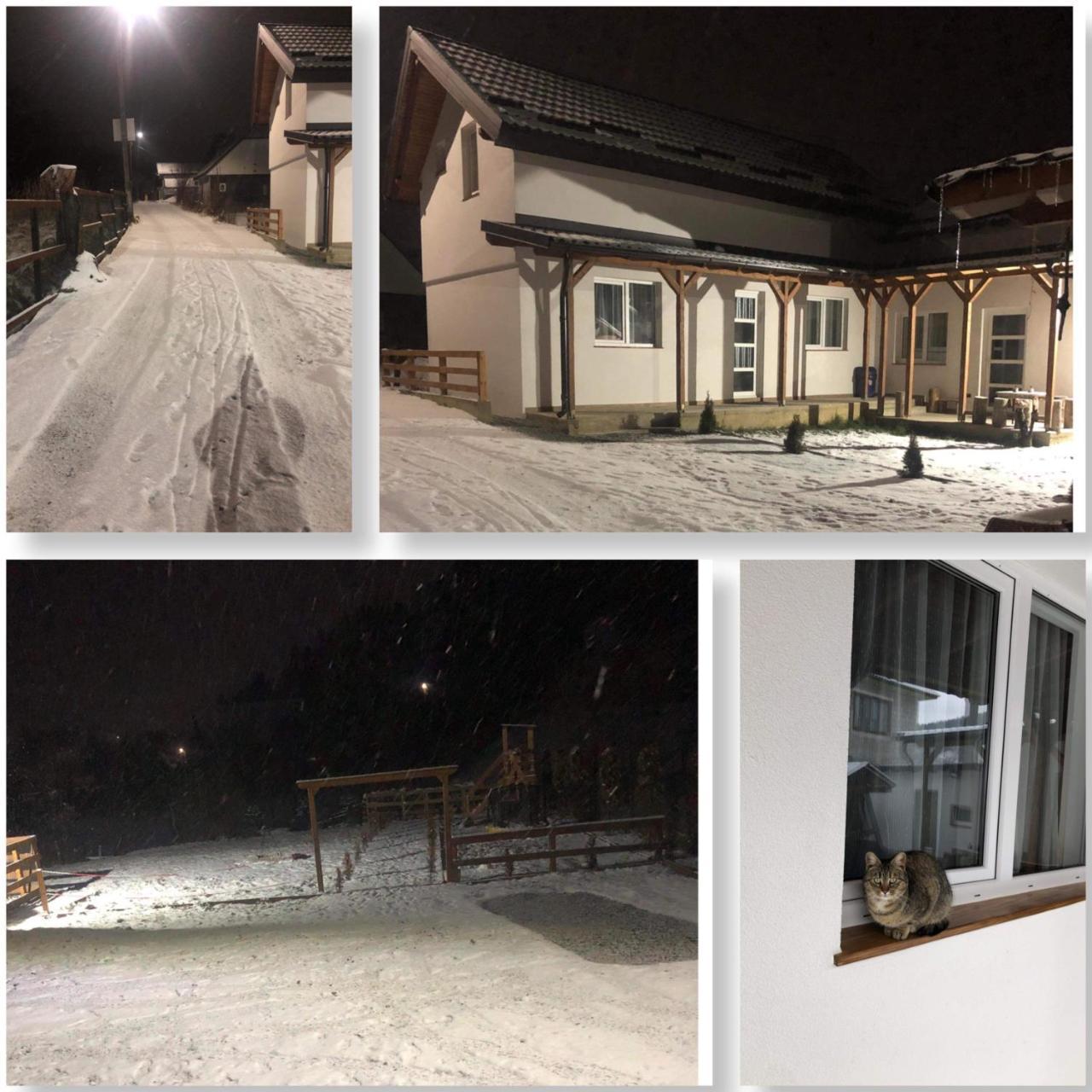 Cabana La Batranu in Borsa, Romania