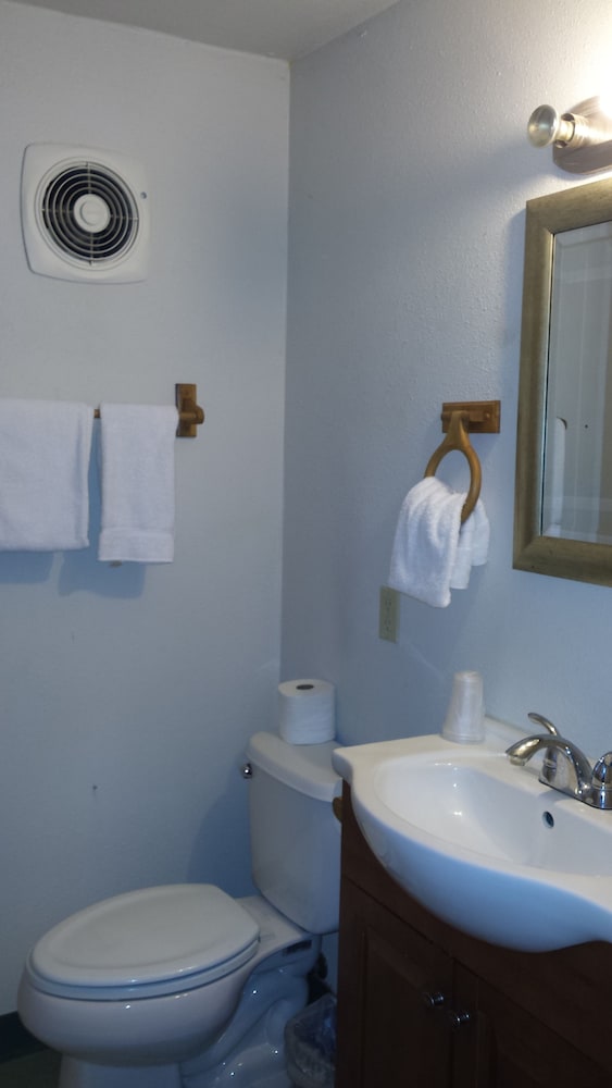 Shiny Motel - photo 3