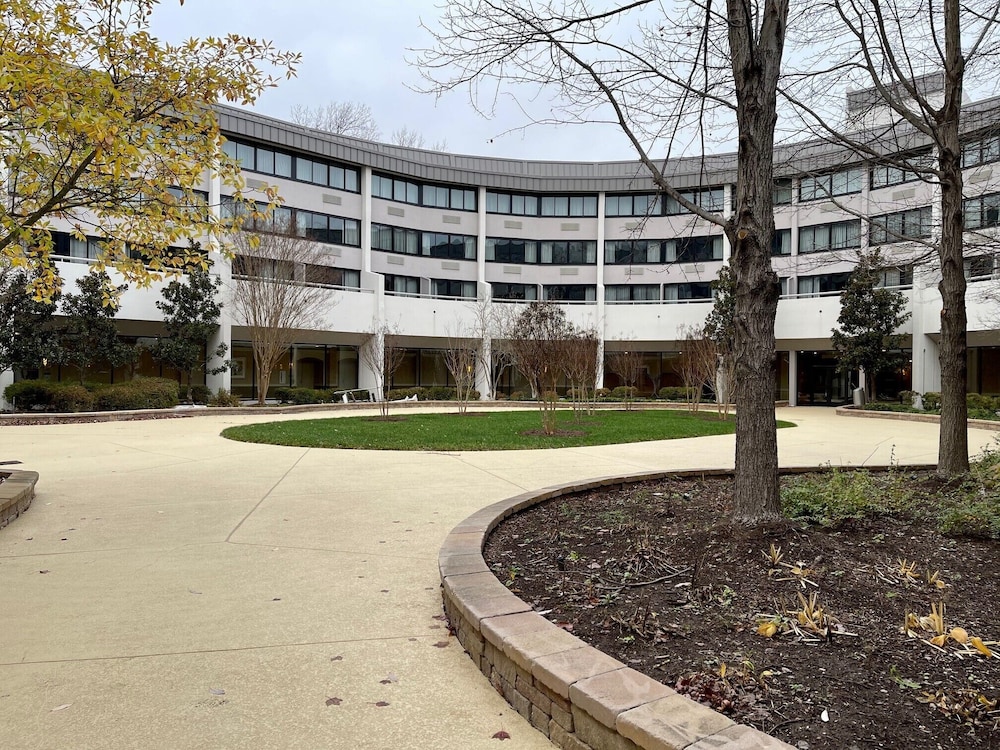 Sheraton Reston Hotel - photo 40