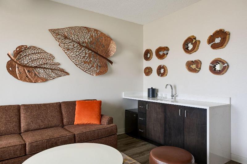 MeadowView Conference Resort & Convention Center - photo 50