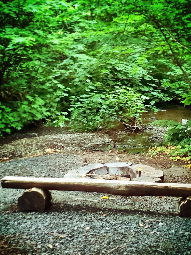 Robin Hood Village Resort - photo 118