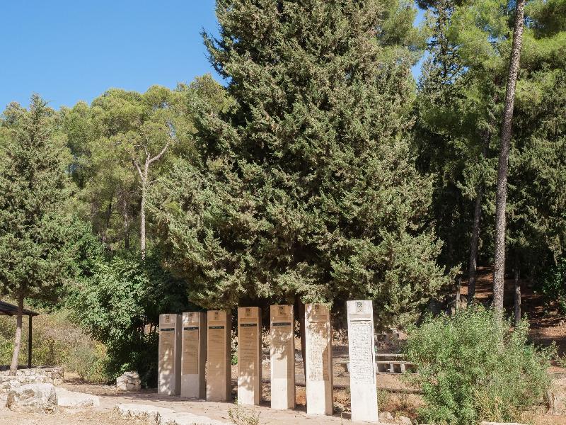 Mantur Parod by Selina in Tiberias, Israel