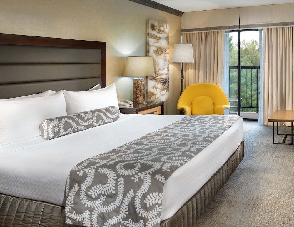 Crowne Plaza Resort Asheville by IHG - photo 11