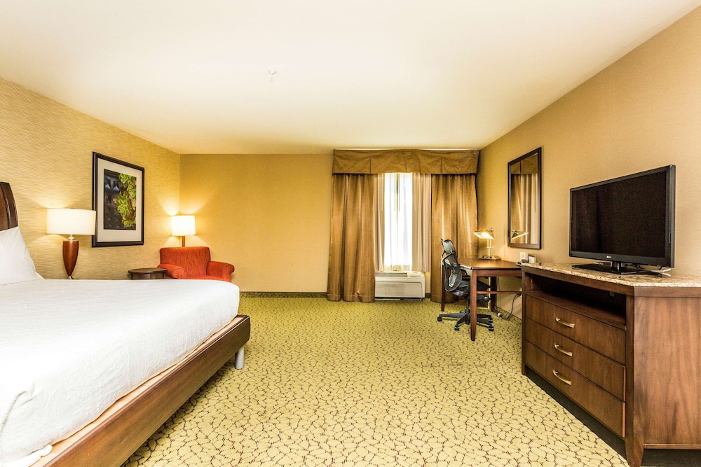 Hilton Garden Inn St. George - photo 14