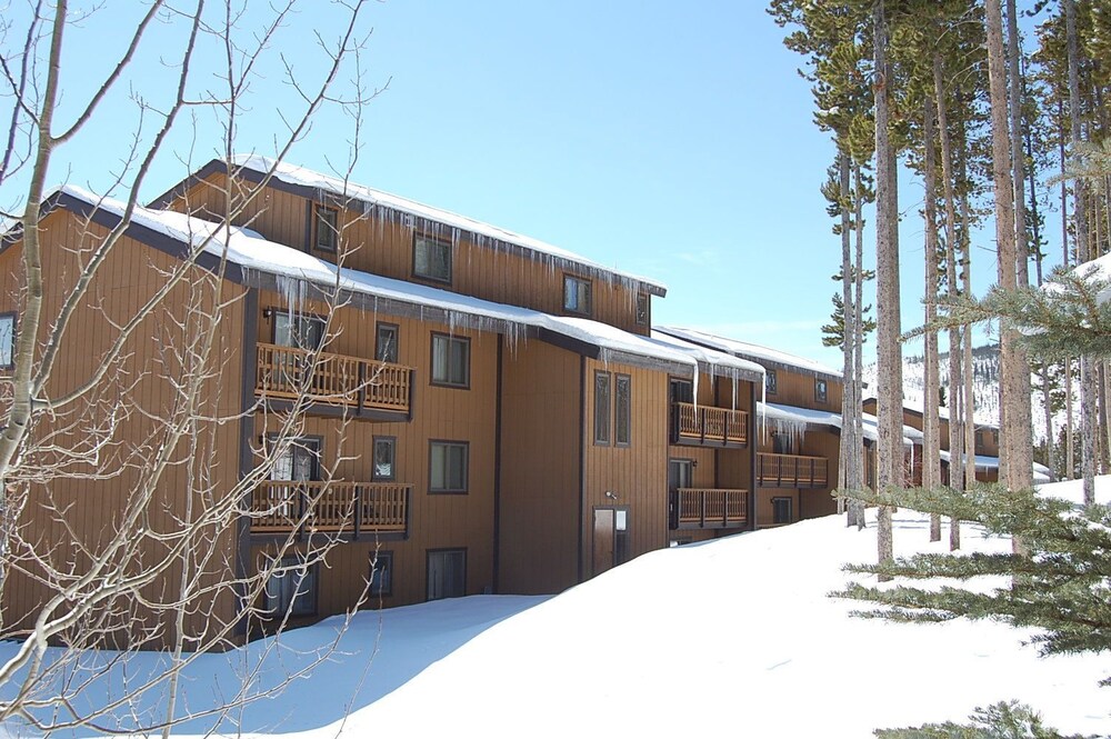 Timber Run - photo 28