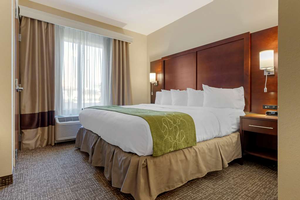 Comfort Suites Piedmont Greenville South - photo 8