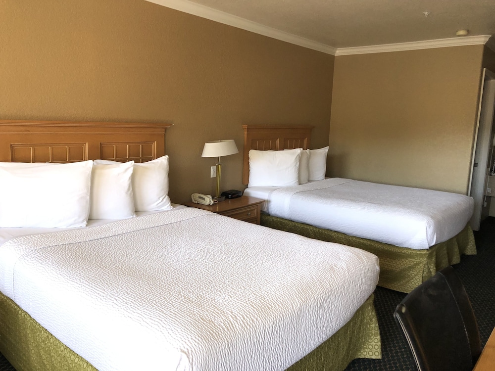 Lake Point Lodge - photo 13