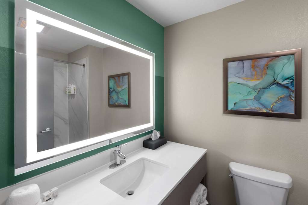 Wingate by Wyndham Sulphur Near Lake Charles - photo 20