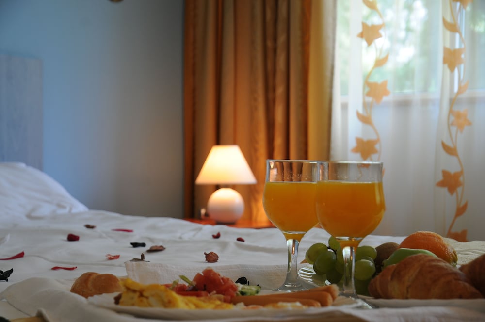 Hotel Herastrau — Bucharest — photo 2