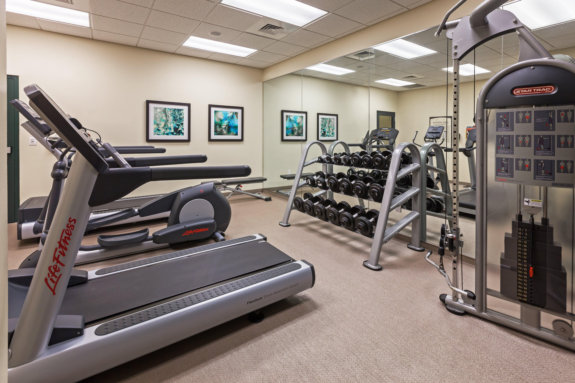 Staybridge Suites San Antonio Downtown Conv Ctr an IHG Hotel - photo 4