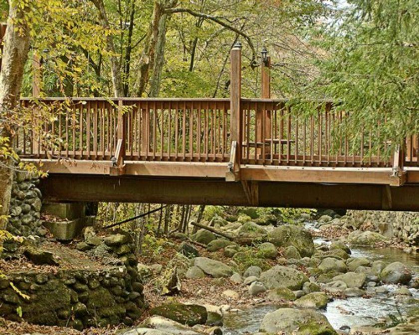 Tree Tops Resort - photo 12