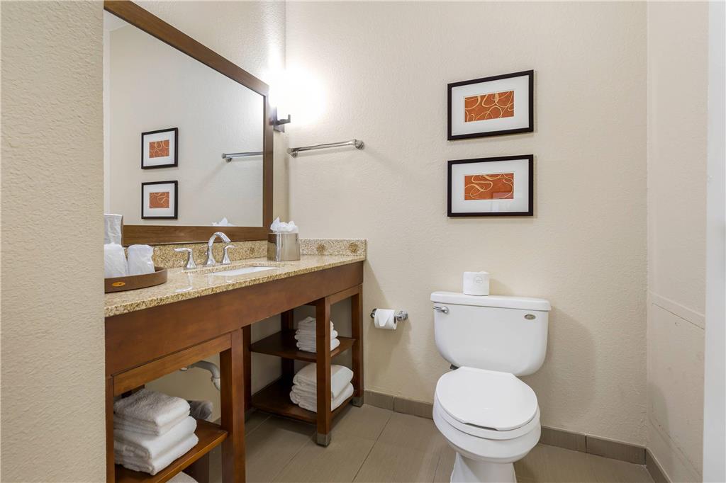 Comfort Inn Memphis Downtown - photo 13