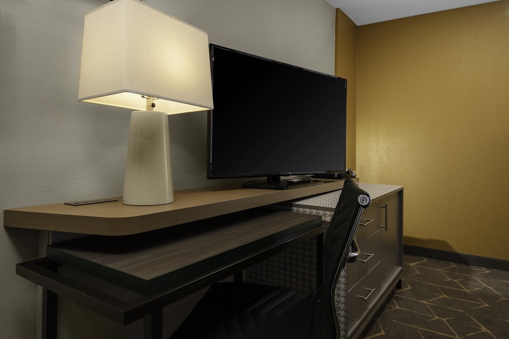 Holiday Inn Boston Dedham Hotel & Conference Center by IHG - photo 5