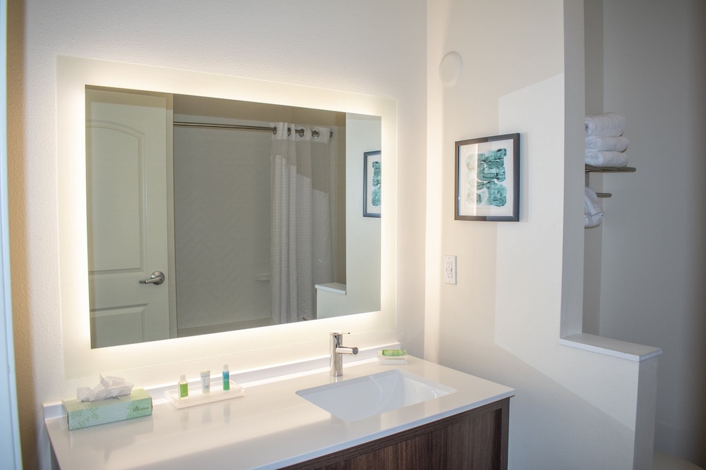 Holiday Inn Omaha Downtown Waterpark by IHG - photo 25