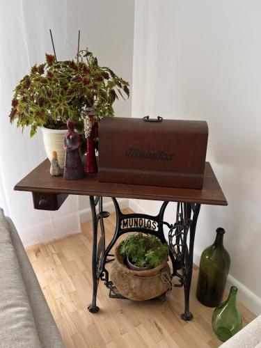 Apartment Lana