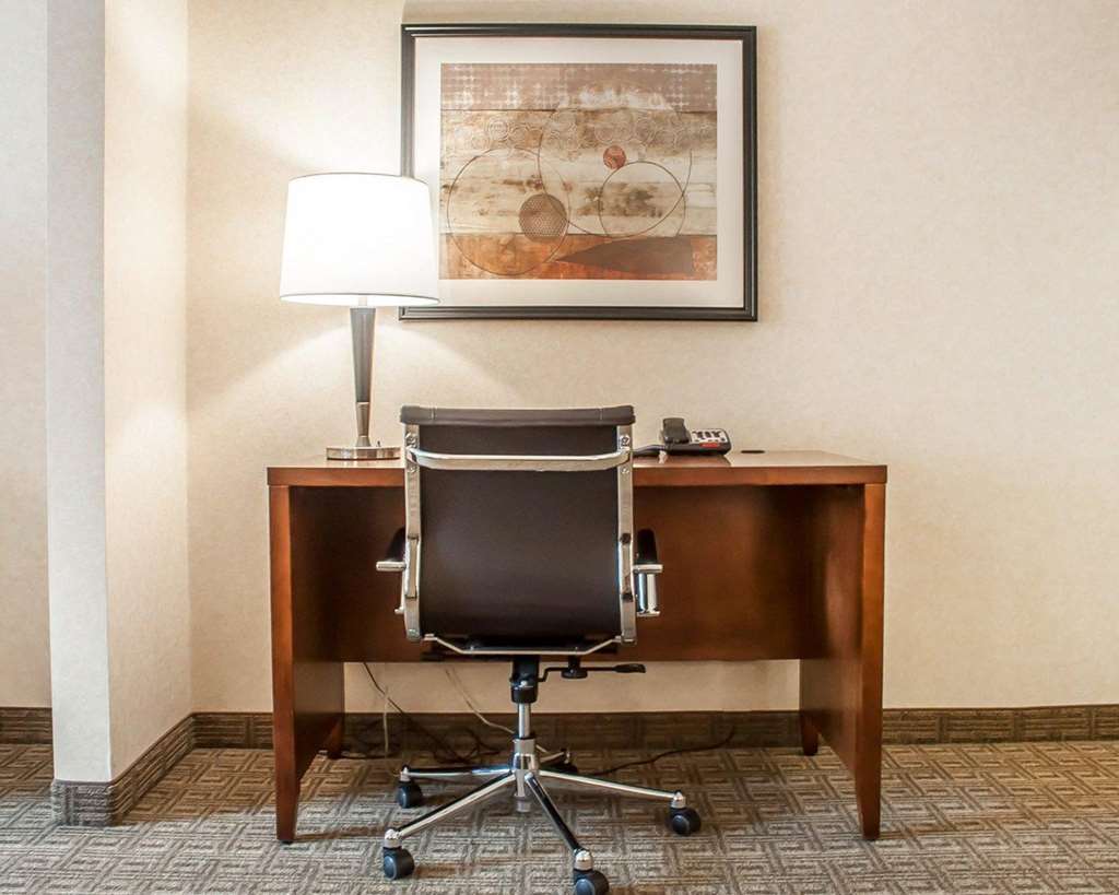 Comfort Inn & Suites Hamburg Buffalo South - photo 7