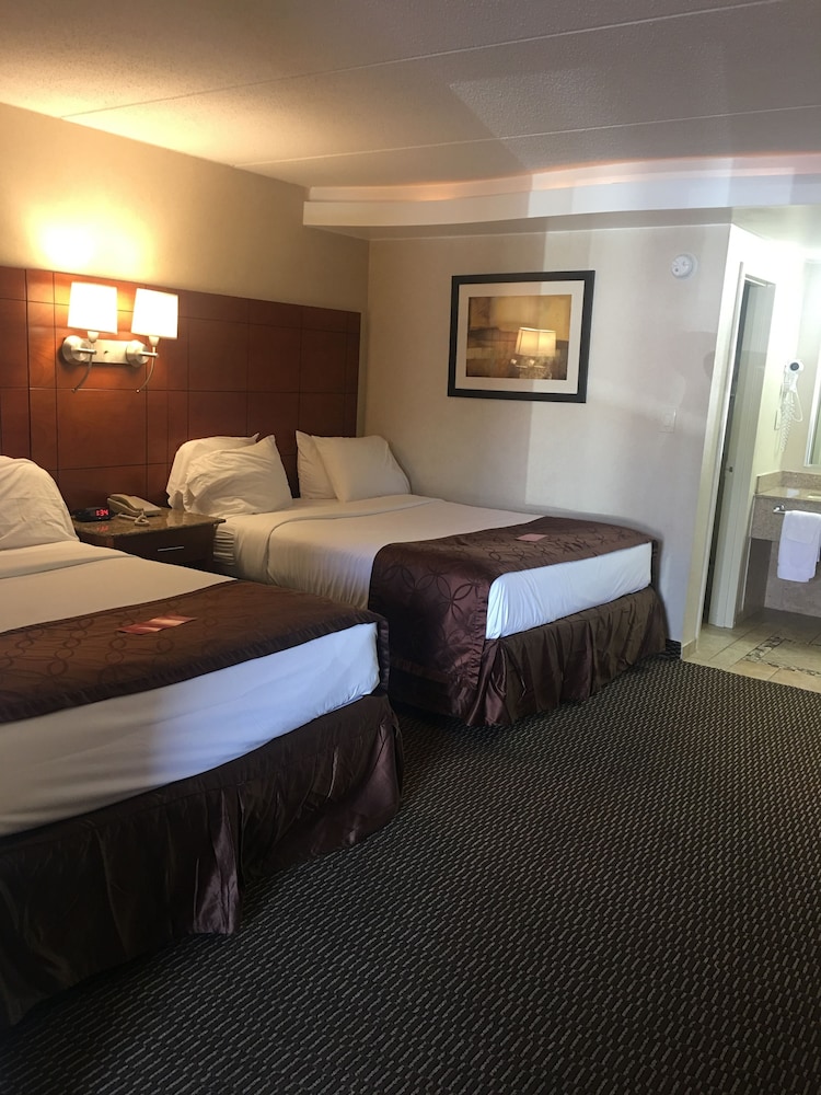 Ramada by Wyndham Rockville Centre - photo 8