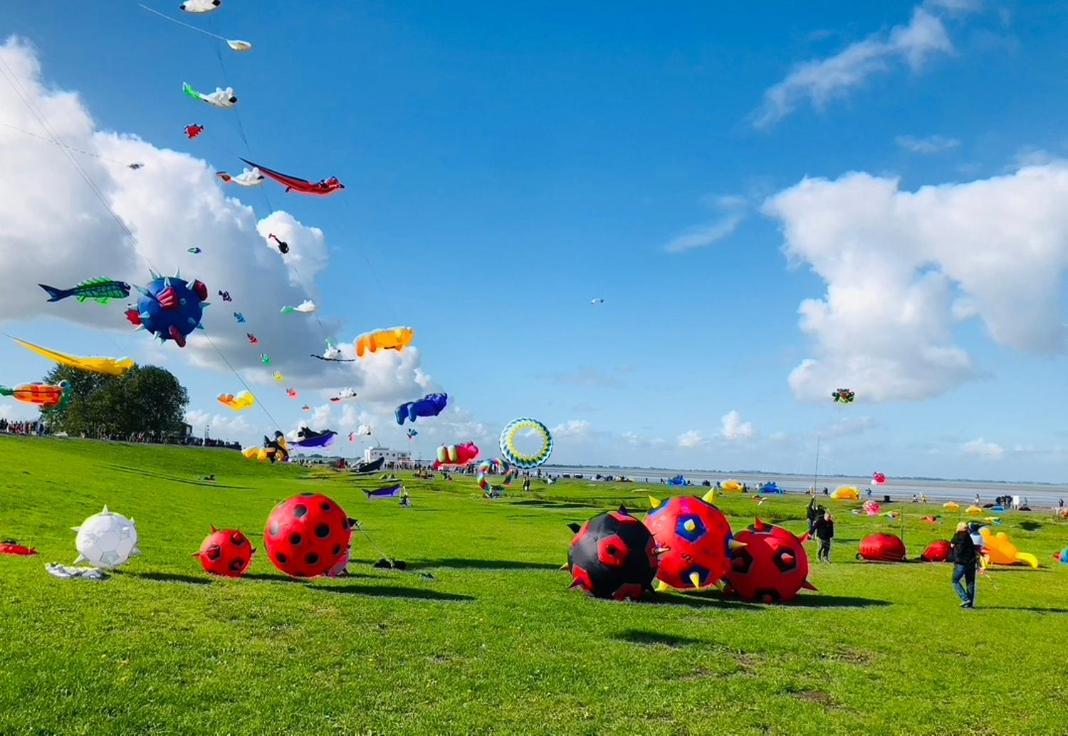 Stilvolles Architektenhaus am Jadebusen in Varel, Germany