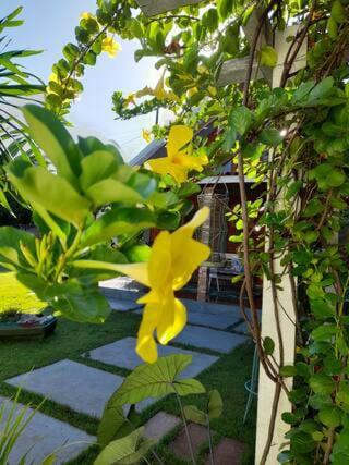 Chacaramoriá - carbon neutral hotel in Floresta