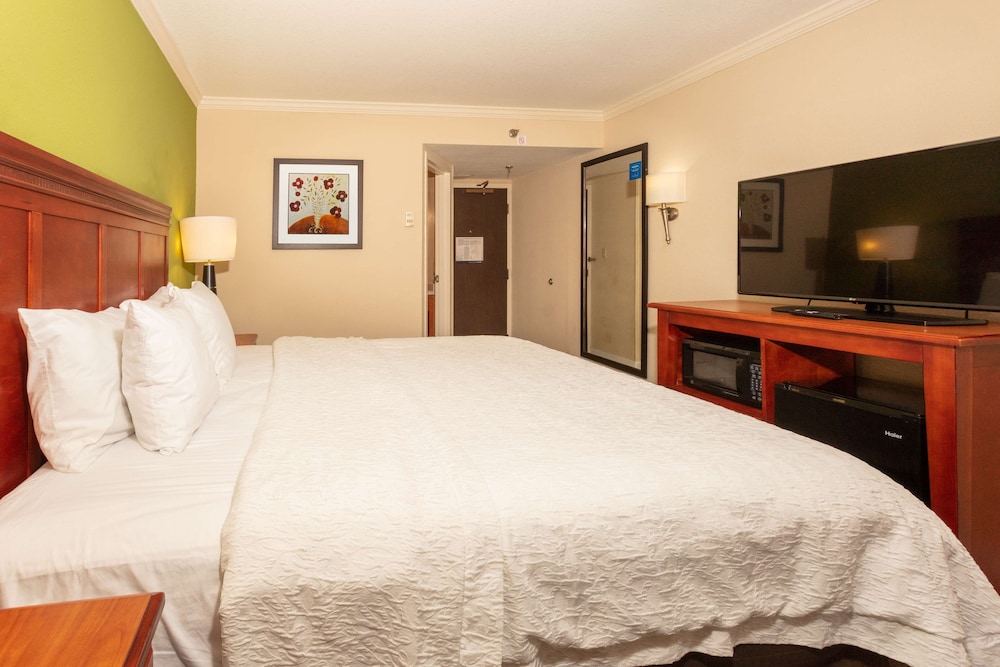 Hampton Inn Daytona Speedway - photo 16