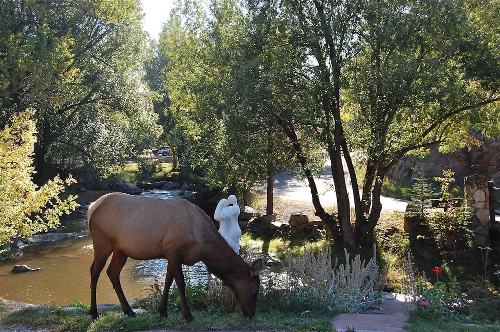 Highland Haven Creekside Inn - photo 179