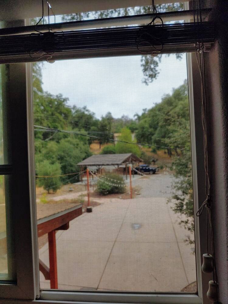 Bird Watcher Inn - photo 47