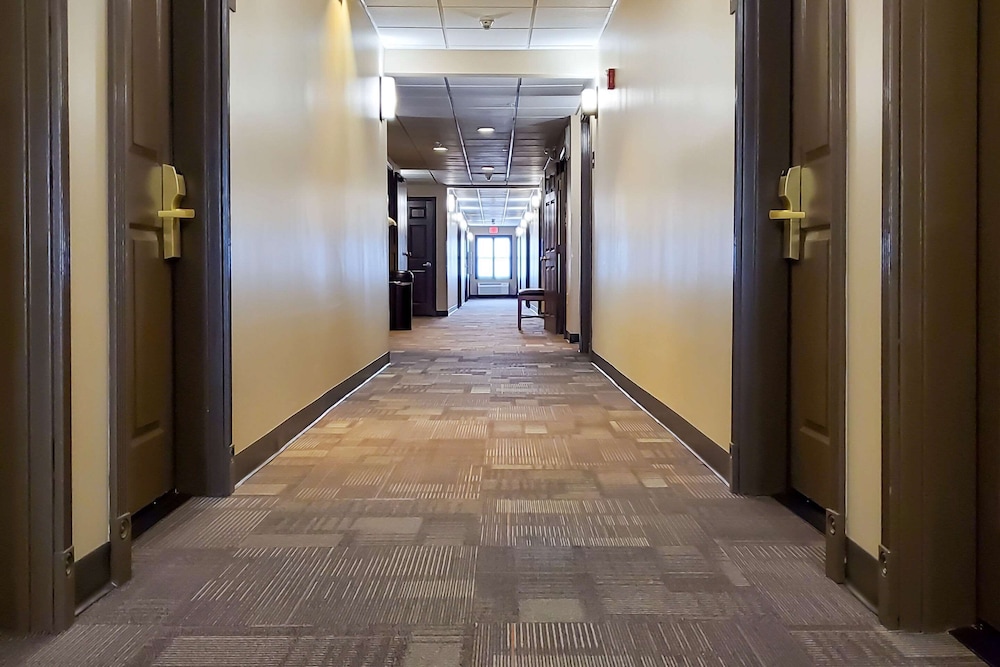 City Express by Marriott Tempe - photo 8