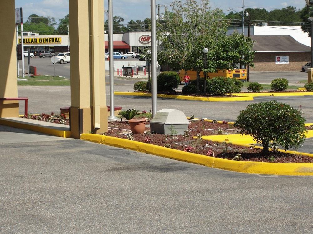 Executive Inn Opp - photo 31