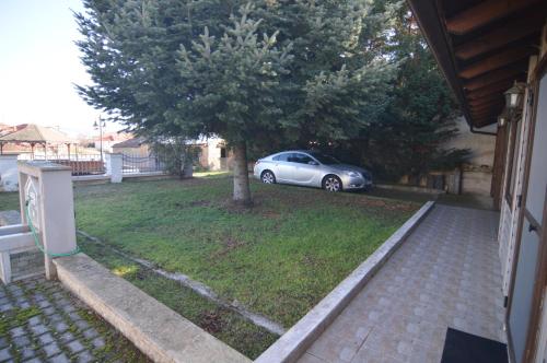 Signora Despina’s — Kastoria — photo 2