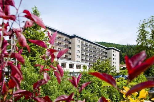 Rechtmurg 27 — Baiersbronn