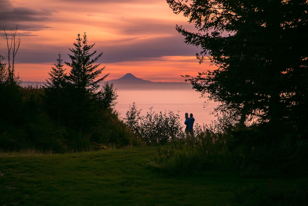 Kenai Peninsula Suites - photo 33