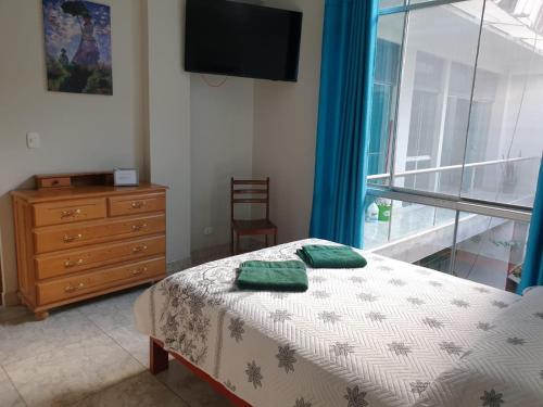 Los Pintores in Tingo Maria, Peru