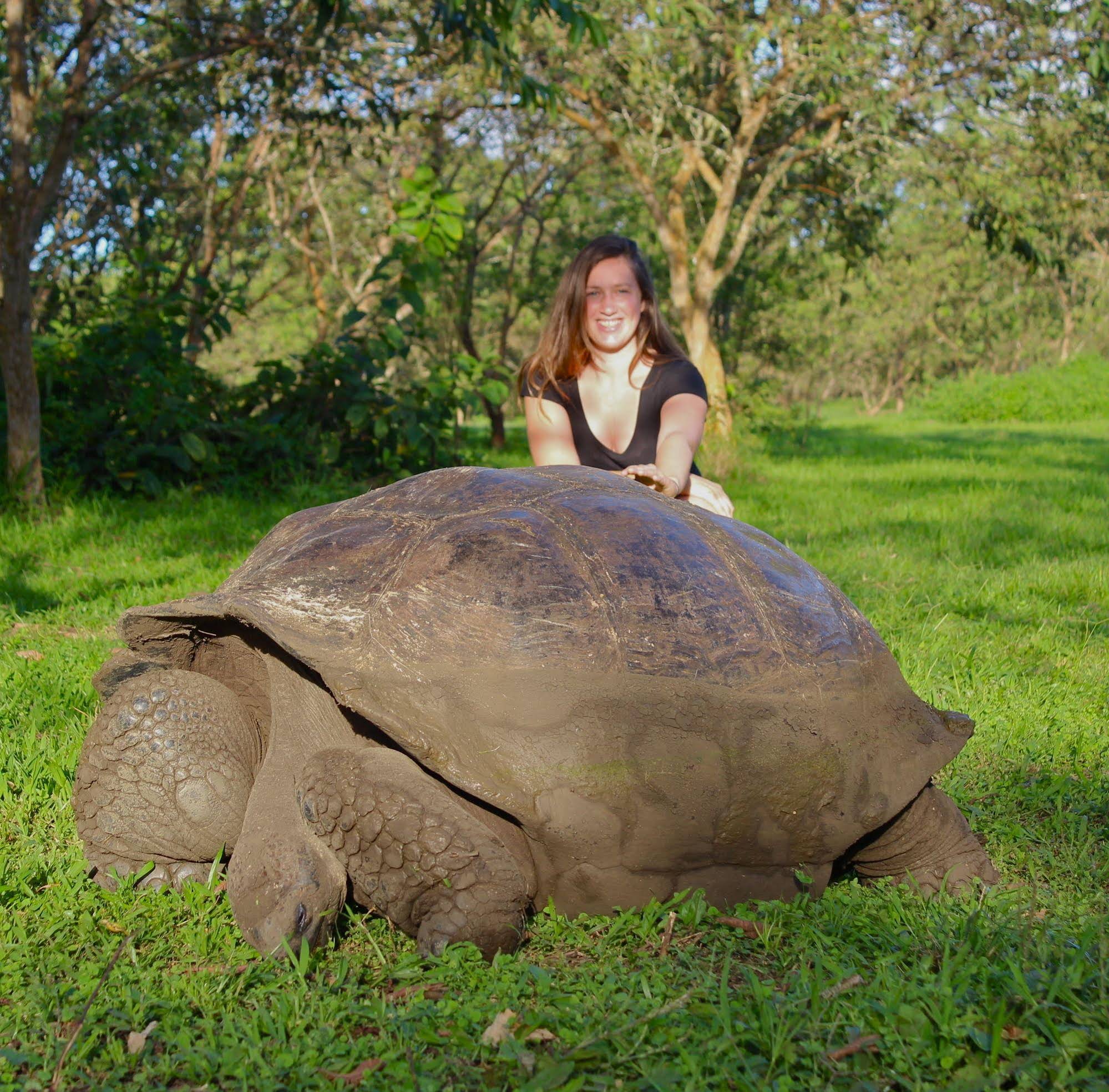 Red Mangrove Divers Lodge All Inclusive Adventure in Puerto Ayora, Ecuador