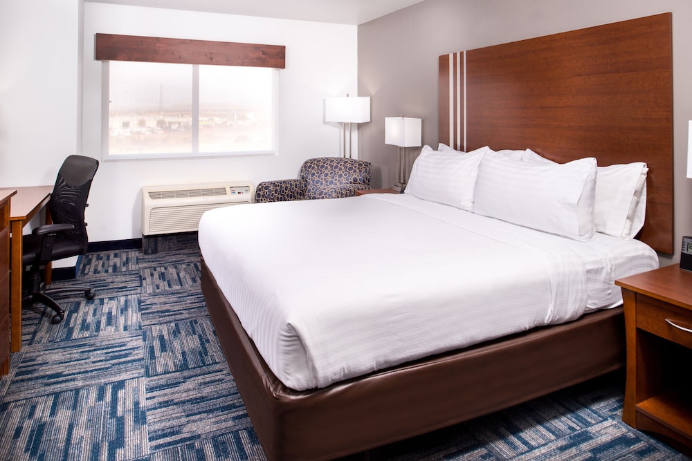 Holiday Inn Express Hotel & Suites Alamogordo Hwy 54 70 by IHG - photo 8