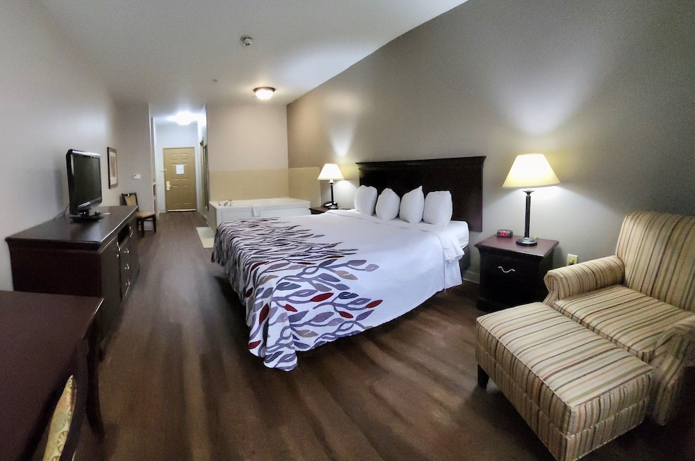 Red Roof Inn & Suites Midland - photo 6