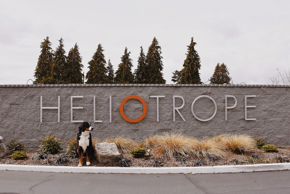 Heliotrope Hotel - photo 68