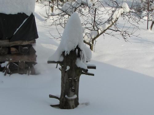 Dům u rybníka — Nydek — photo 5