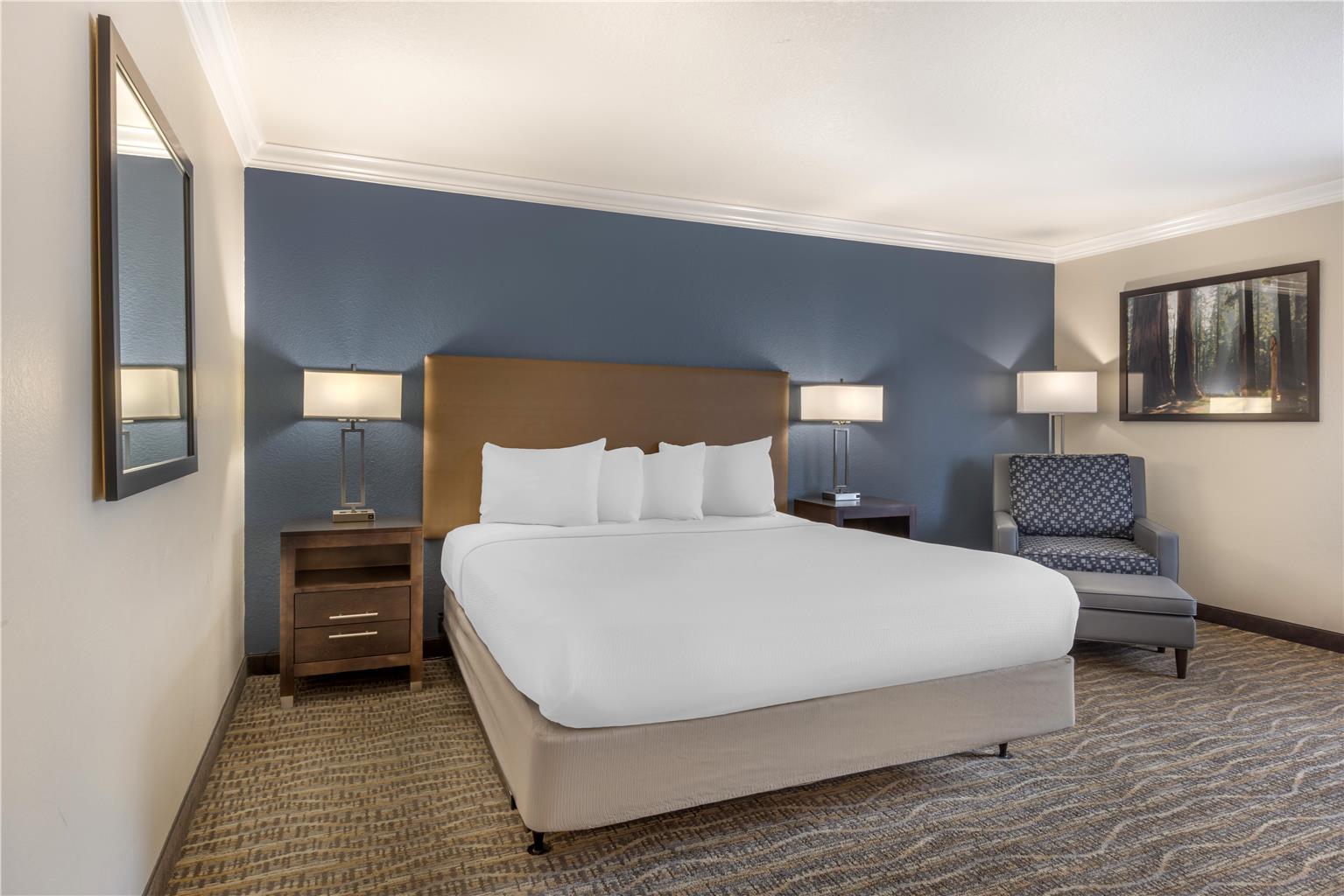 Best Western Town & Country Lodge - photo 10