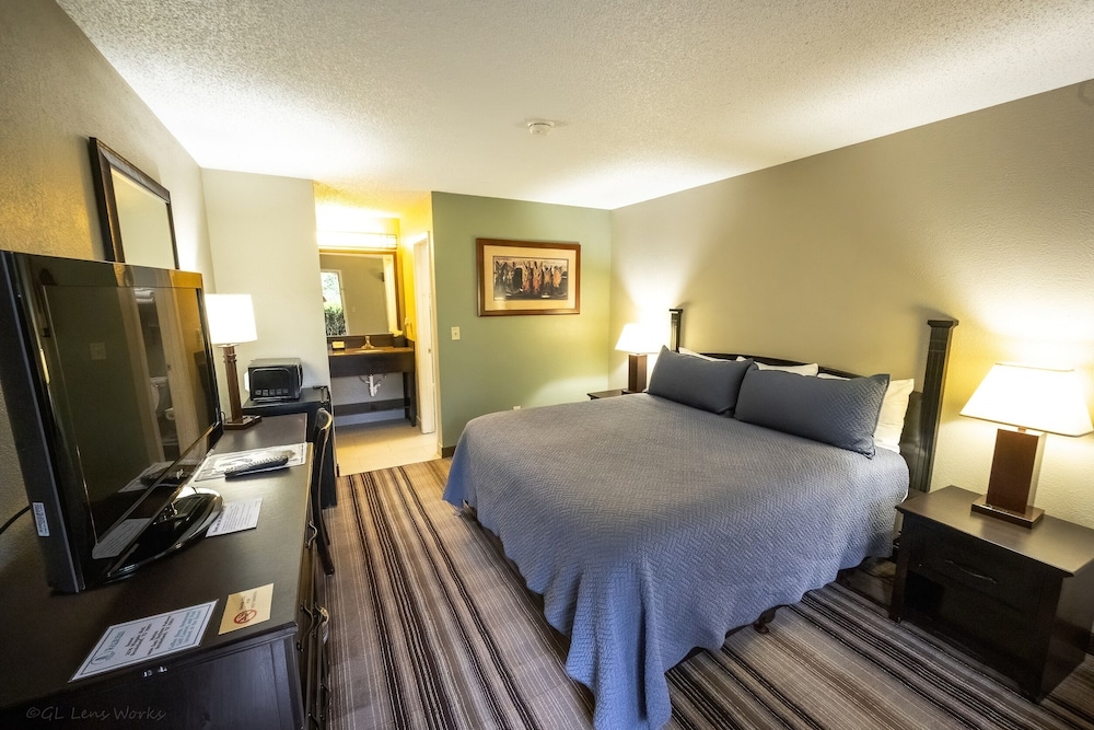 Rayburn Country Resort - photo 45