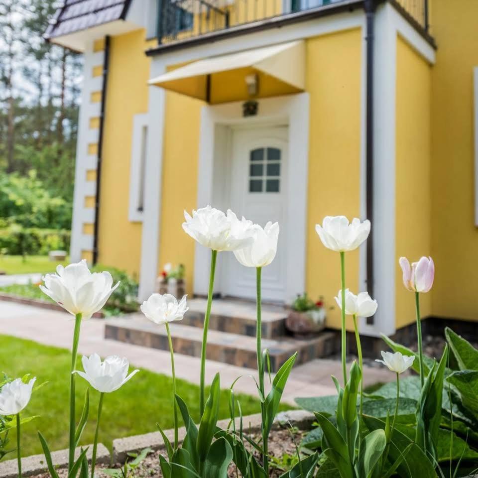 Vila u Prahy v prirode jezero Lhota — 4-Star Luxury Hotel in Bila Lhota, Czech Republic
