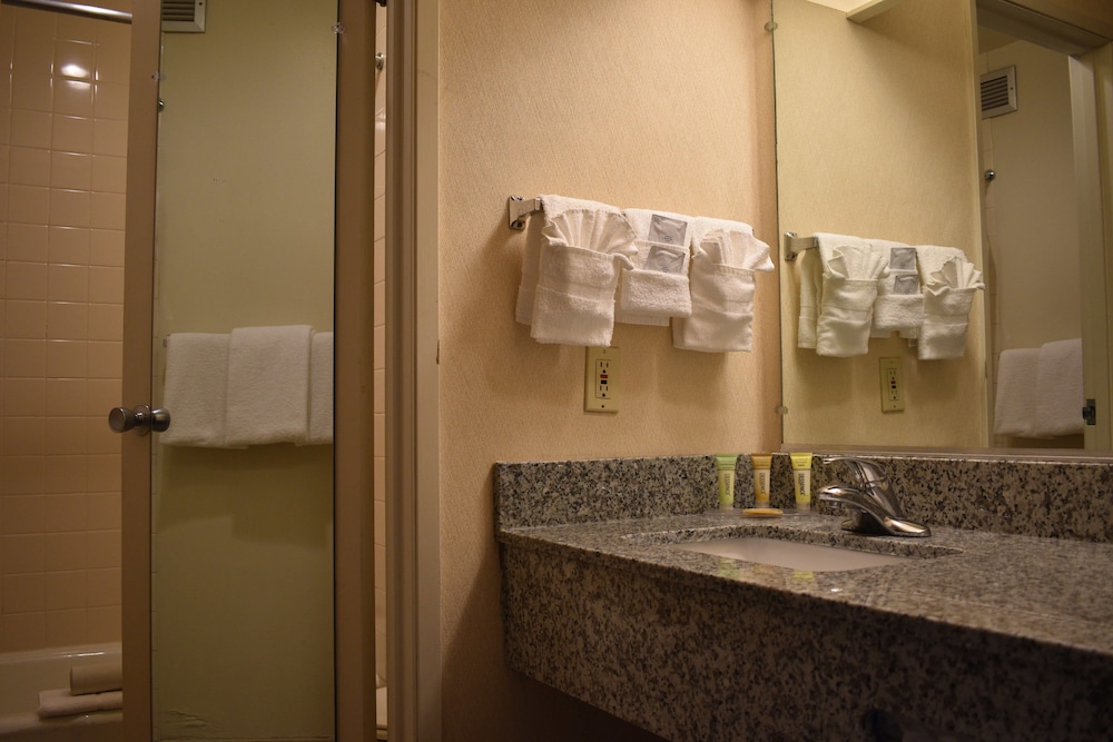 Inn At The Convention Center - photo 28