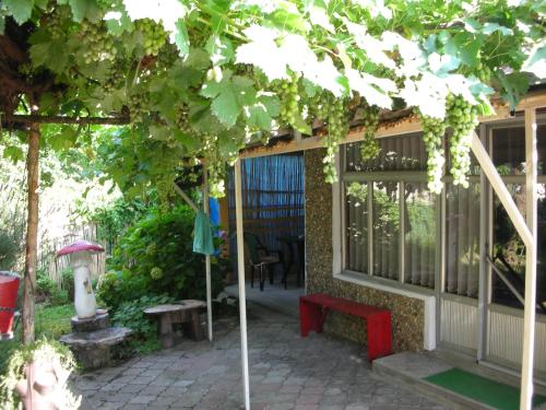 Pržić House — Negotin — photo 2
