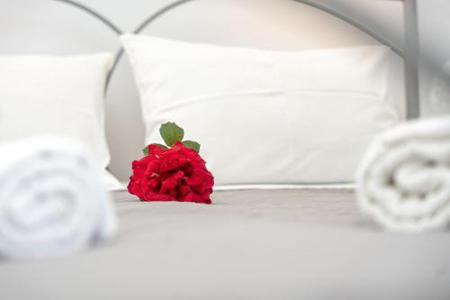 Fiorado - last minute hotel in Unknown City