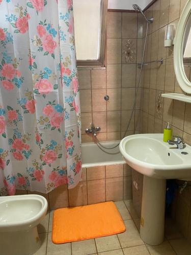 Casa Carolina — Collepasso — photo 3