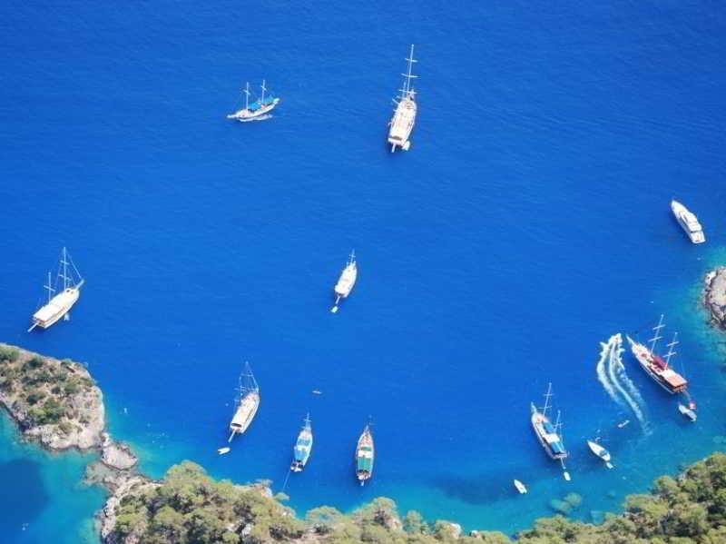 Racing With Glory Dolphins - last minute hotel in Fethiye